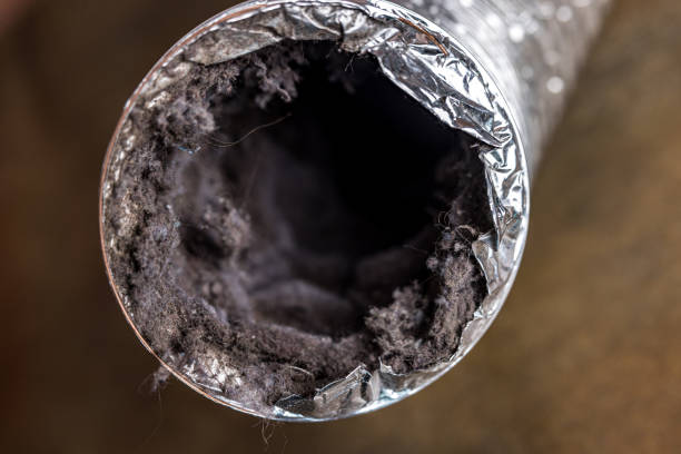Best Air Duct Cleaning Near Me  in , DC