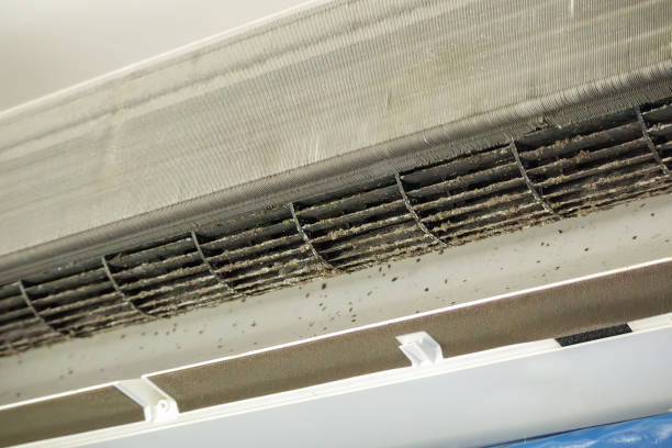 Best HVAC Duct Inspection Services  in , DC